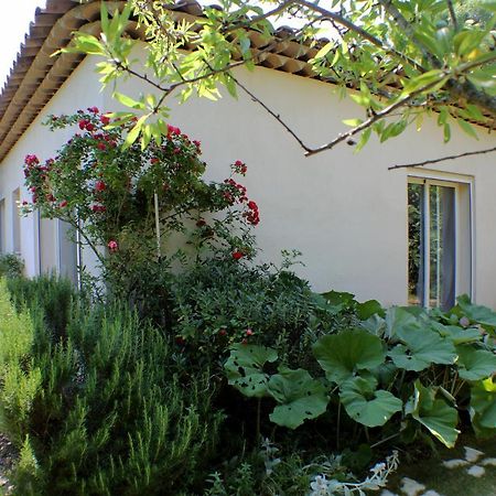 Le 275 Villa La Colle-sur-Loup Bagian luar foto